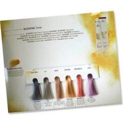 Schwarzkopf Professional BlondMe Farbkarte -Jagua Haarpflege Geschaft 0520209 Schwarzkopf Professional BlondMe Farbkarte.48640b33