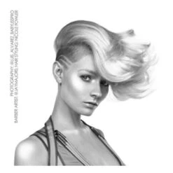 BaByliss PRO 4Artists Haartrockner Stellato Digital BAB7500IE 11 BaByliss PRO 4Artists Haartrockner Stellato Digital BAB7500IE -Jagua Haarpflege Geschaft 1340824 BaByliss PRO 4Artists Haartrockner Stellato Digital BAB7500IE.9886465d