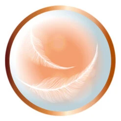 Remington Supercare PRO 2200 Haartrockner -Jagua Haarpflege Geschaft 1376217 Remington Supercare PRO 2200 Haartrockner.8f8dc211