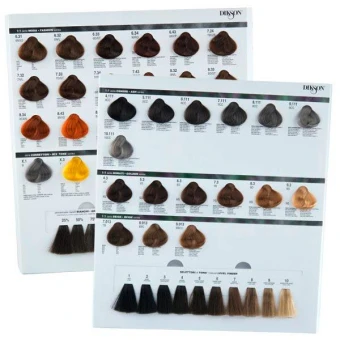 Dikson Farbkarte Color NEW 4 Dikson Farbkarte Color NEW – Bild 2