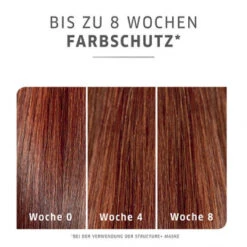 Wella ColorMotion+ Express Post Color Treatment 500 Ml 12 Wella ColorMotion+ Express Post Color Treatment 500 Ml -Jagua Haarpflege Geschaft 1645692 Wella ColorMotion Express Post Color Treatment 500 ml.73b01396