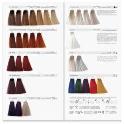 PH Color Premium-Farbkarte 9 PH Color Premium-Farbkarte -Jagua Haarpflege Geschaft 2527529 pH Color Premium Farbkarte.261a9bbf